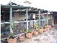 48 Maple Street, Seaford VIC 3198