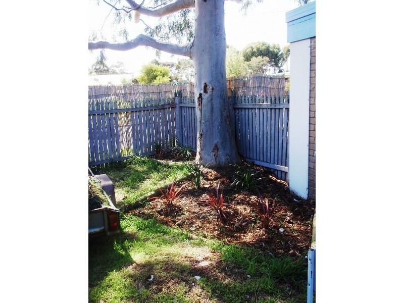 3 Andrew Street, Seaford VIC 3198