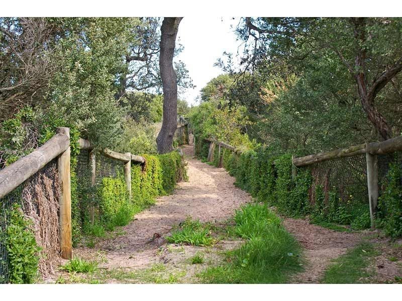153 Rosslyn Avenue, Seaford VIC 3198