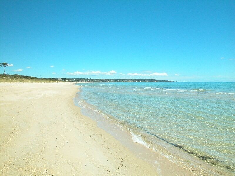 145 Fortescue Avenue, Seaford VIC 3198