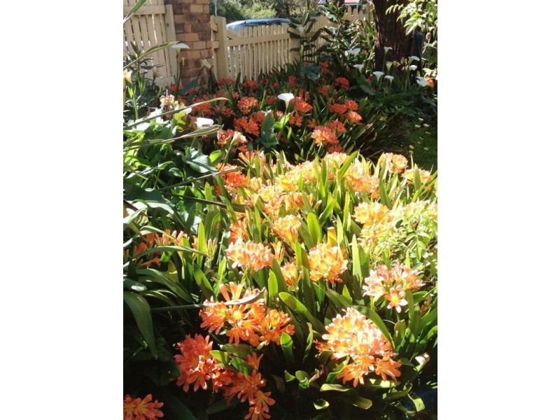 2 Johnstone Street, Seaford VIC 3198