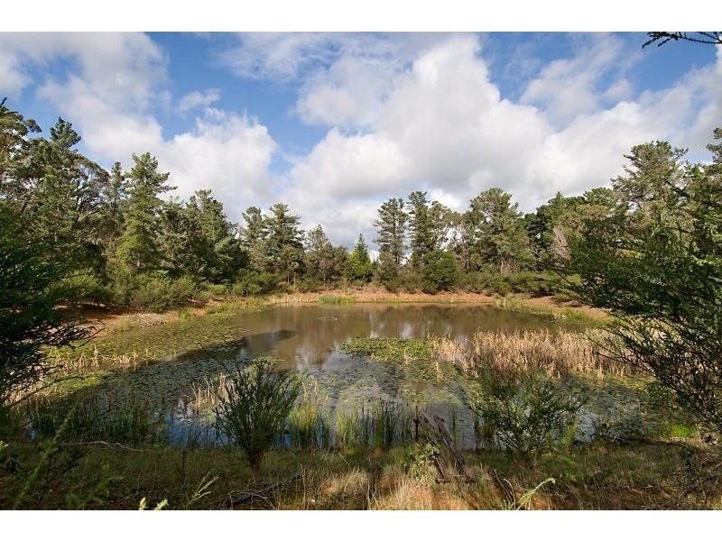 31 Boes Road, Tyabb VIC 3913