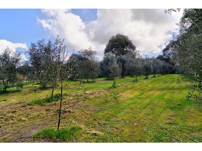 21 Wellington Road, Tyabb VIC 3913