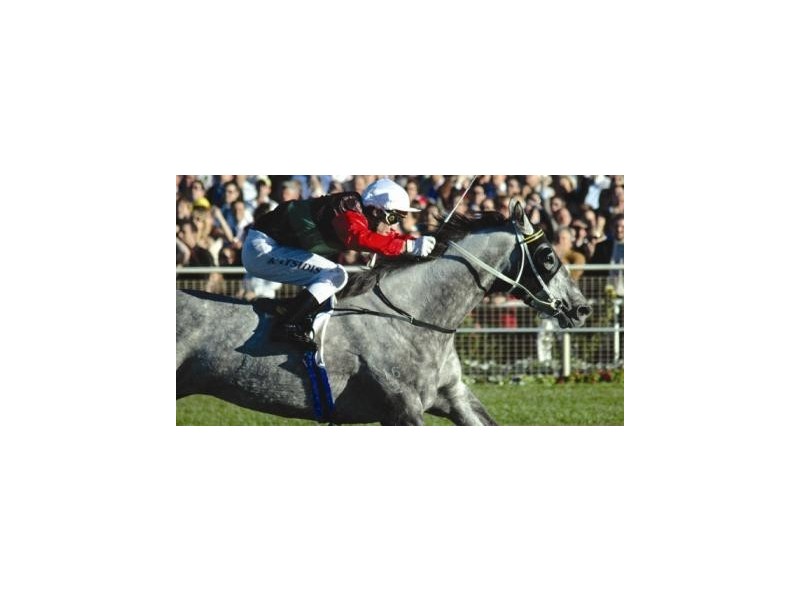 7/60 Beatrice Tce, Ascot QLD 4007