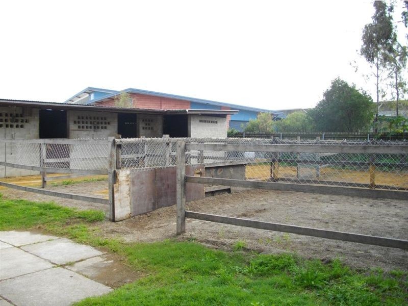 22 Gadara St, Hendra QLD 4011