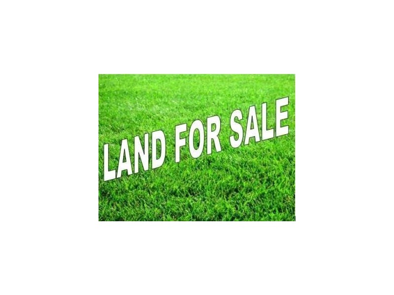 38 Pine St, Hamilton QLD 4007