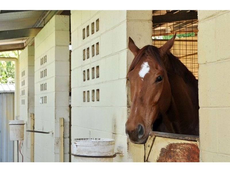 9 Hamilton Ave, Hendra QLD 4011