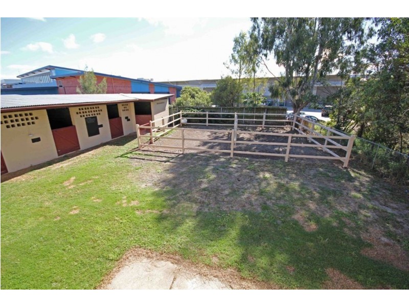 22 Gadara Street, Hendra QLD 4011