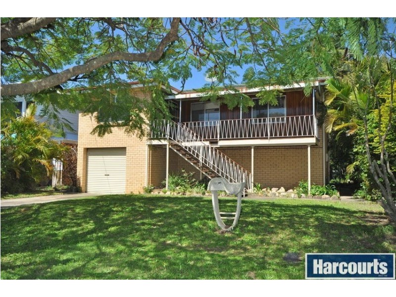 19 Webster Ave, Hendra QLD 4011