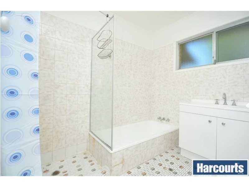 19 Webster Ave, Hendra QLD 4011