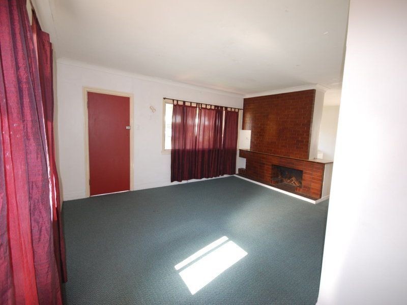 41 Webster Avenue, Hendra QLD 4011