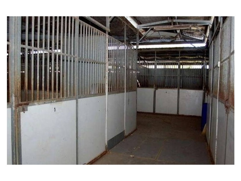 43 Clarke Street, Hendra QLD 4011