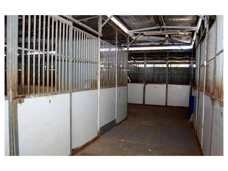 43 Clarke Street, Hendra QLD 4011