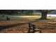 New Farm QLD 4005