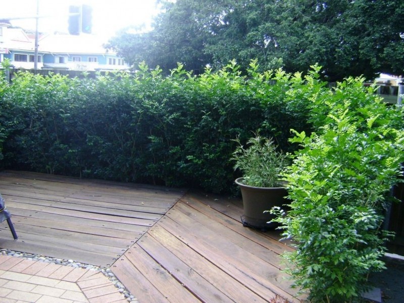 8/21 Riverton Street, Clayfield QLD 4011