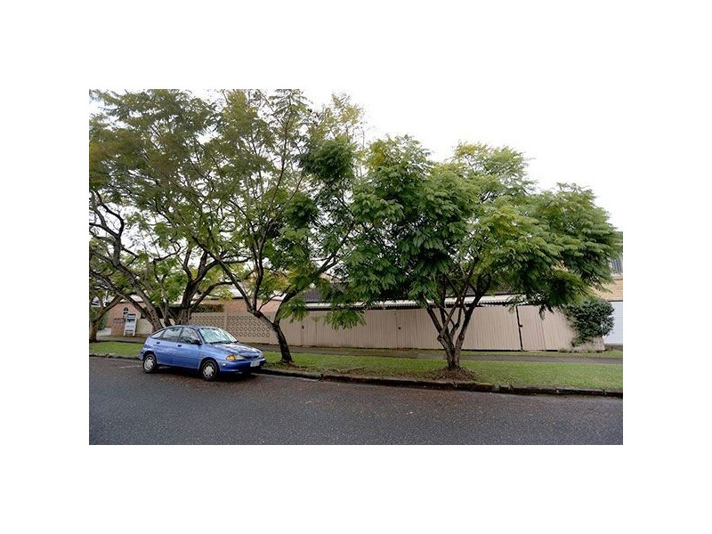 2/1 Vine Street, Ascot QLD 4007