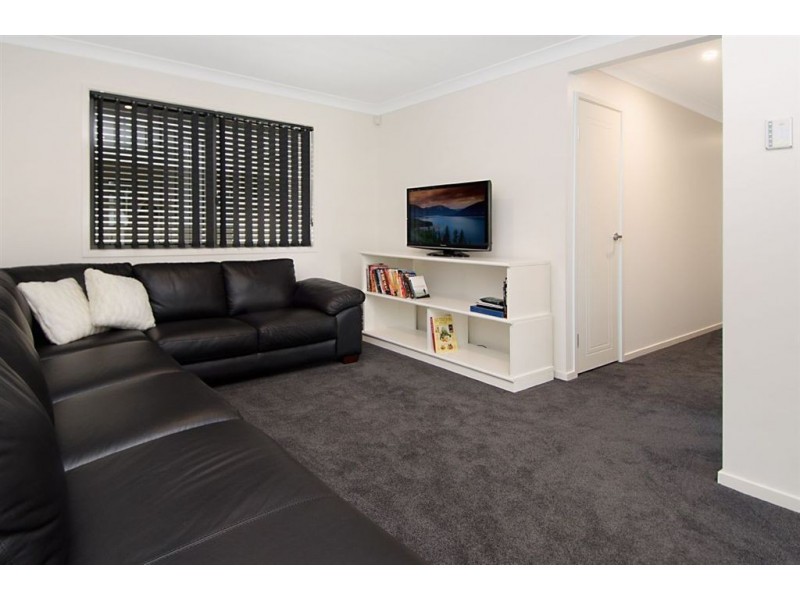 63 Harding Street, Hendra QLD 4011