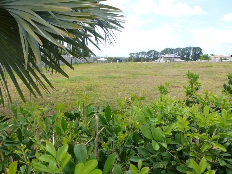 29 Cowie Road, Carseldine QLD 4034