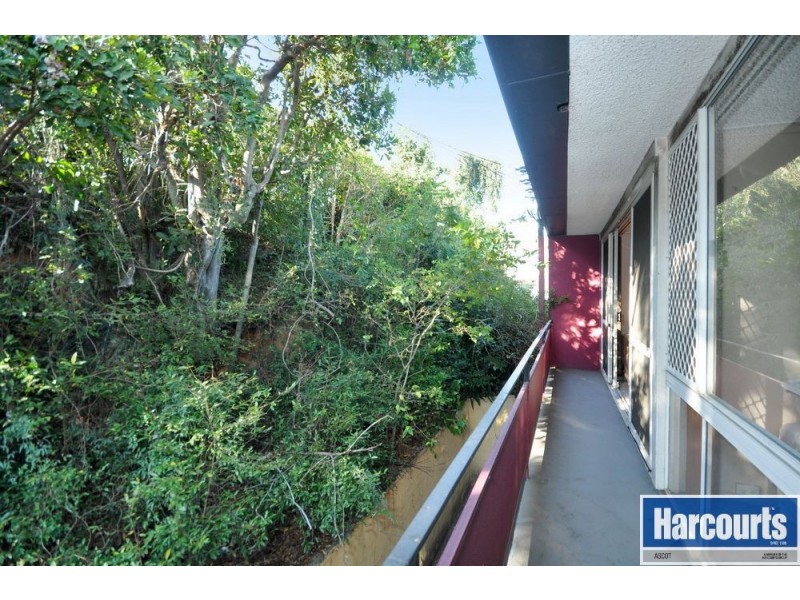 17/256 Kingsford Smith Drive, Hamilton QLD 4007