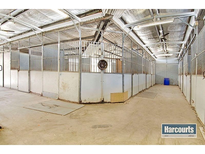 43 Clarke Street, Hendra QLD 4011