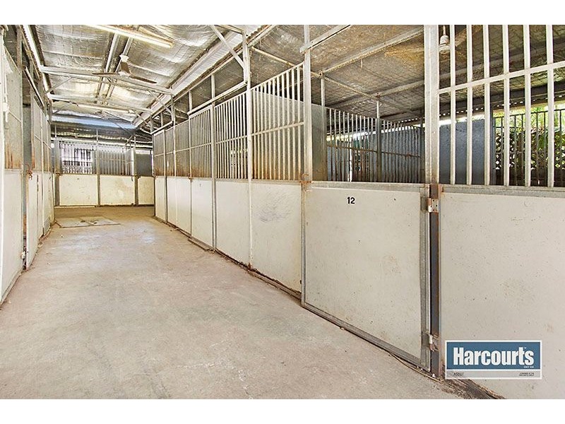 43 Clarke Street, Hendra QLD 4011