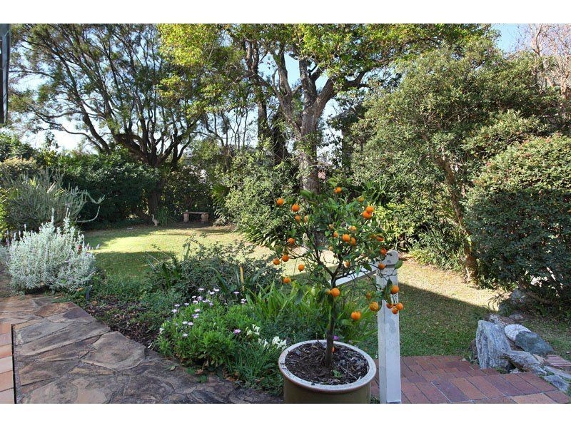 6 Perry Street, Hamilton QLD 4007