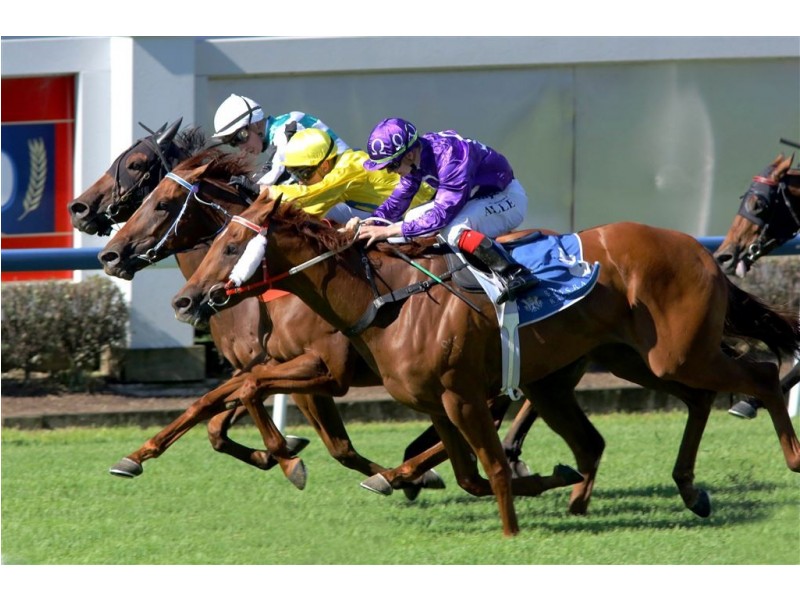 3/62 Stevenson Street, Ascot QLD 4007