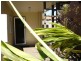 81 Curwen Terrace, Chermside QLD 4032