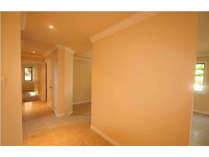 34 Noel Street, Hendra QLD 4011