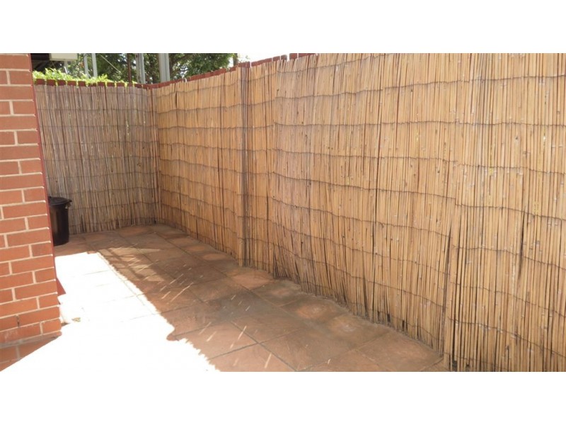 2/12 Magdala Street, Ascot QLD 4007