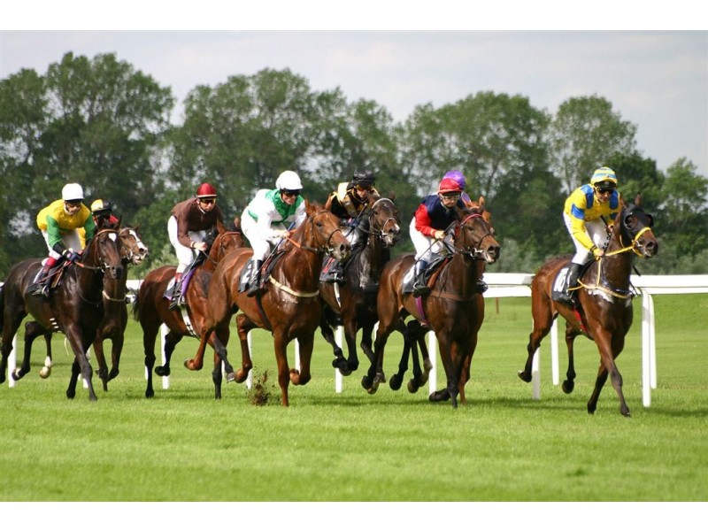 6 Silva Street, Ascot QLD 4007