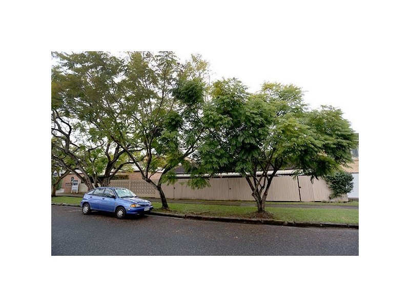 2/1 Vine Street, Ascot QLD 4007