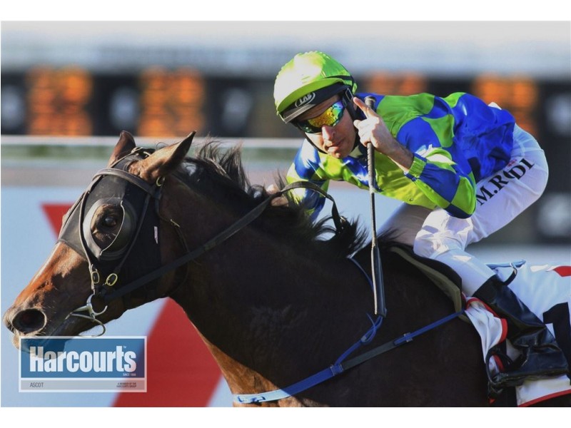 15/46 Buxton Street, Ascot QLD 4007