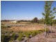 19 Hunter Circle, Millbridge WA 6232