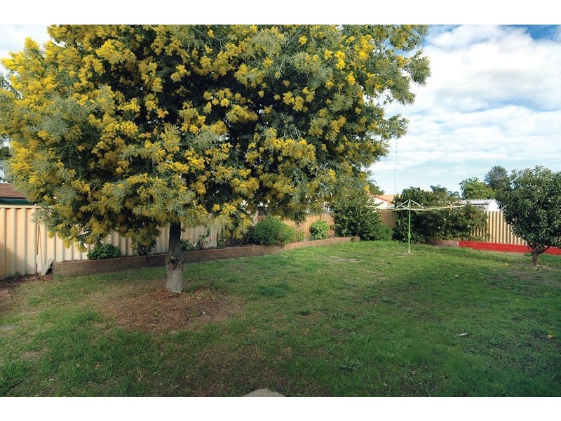 31 Webber Street, Carey Park WA 6230