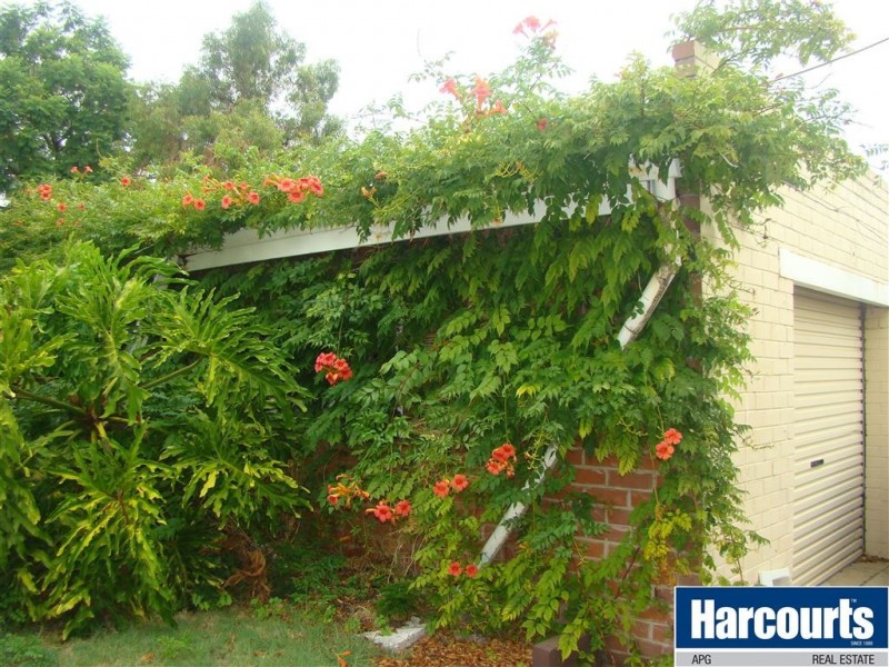 199 Clarke Street, Carey Park WA 6230