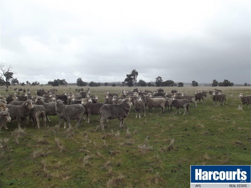 40 Strickland Road, Darkan WA 6392