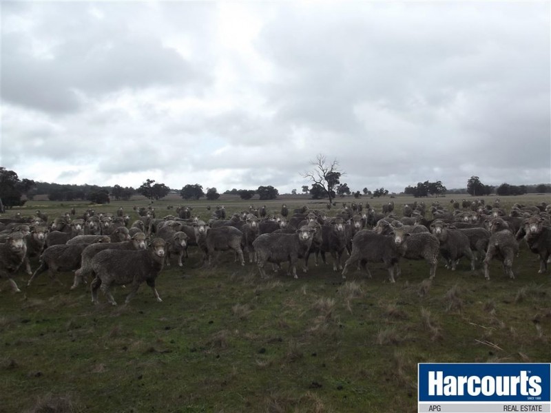 40 Strickland Road, Darkan WA 6392