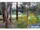 Lot 80 Castle Street, Kirup WA 6251