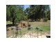 5 Leschenault Parade, Leschenault WA 6233