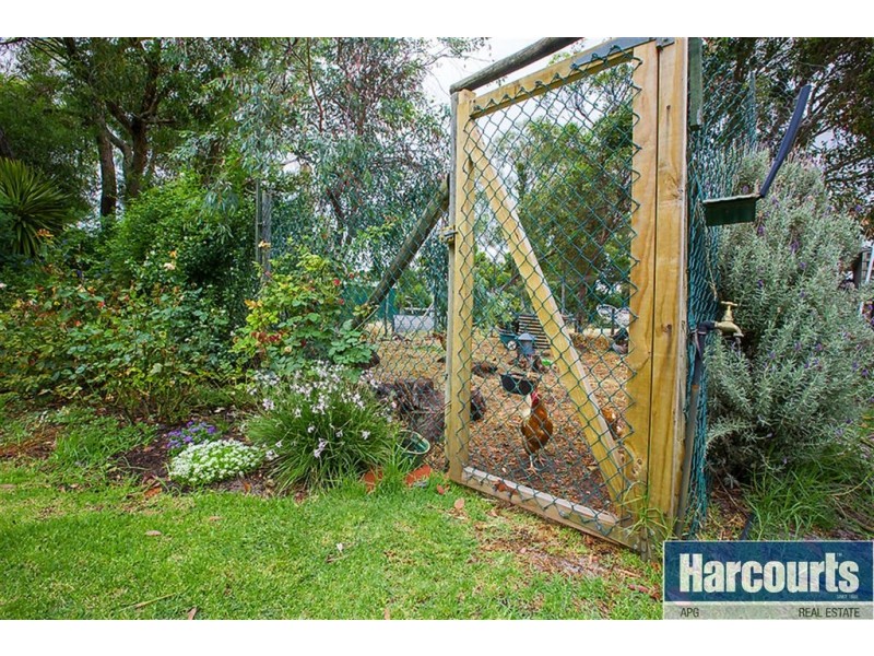 6 Palmer Place, Gelorup WA 6230