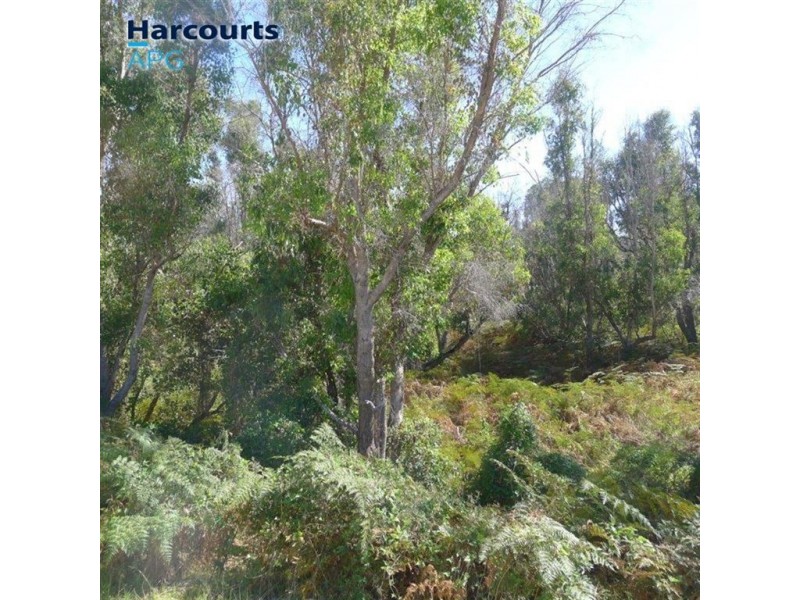 35 Dawson Place, Donnybrook WA 6239