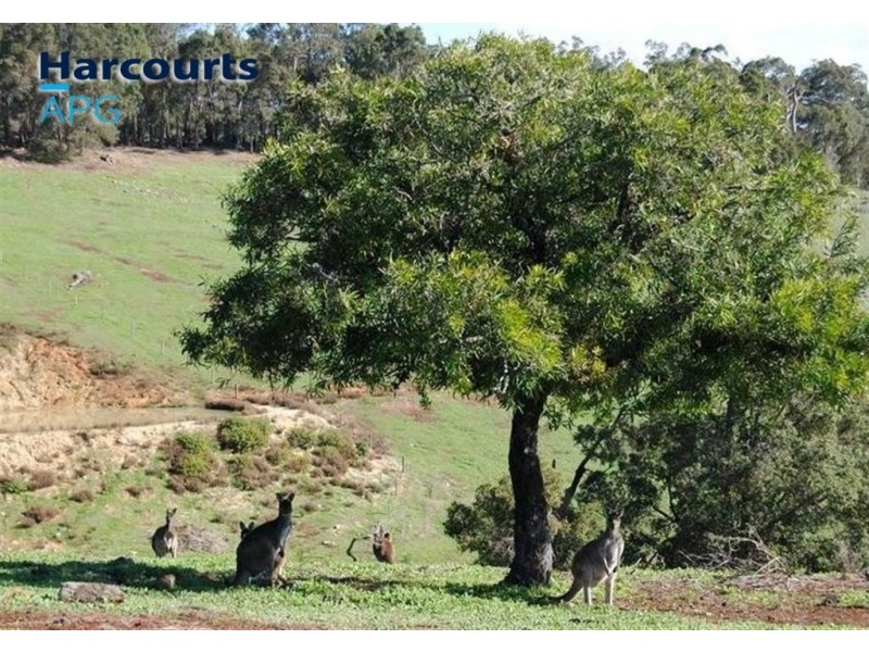 103 King Tree Road, Wellington Mill WA 6236