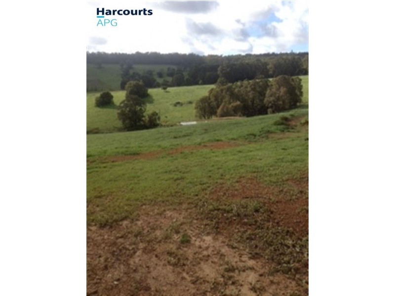 103 King Tree Road, Wellington Mill WA 6236