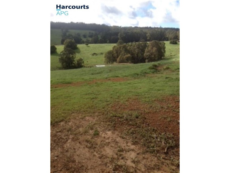 103 King Tree Road, Wellington Mill WA 6236