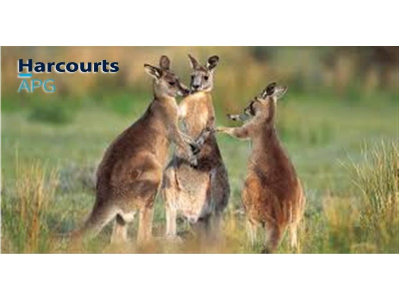 Lot 2 Kulikup Road South, Boyup Brook WA 6244