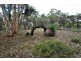 Lot 2 Kulikup Road South, Boyup Brook WA 6244