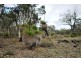 Lot 2 Kulikup Road South, Boyup Brook WA 6244