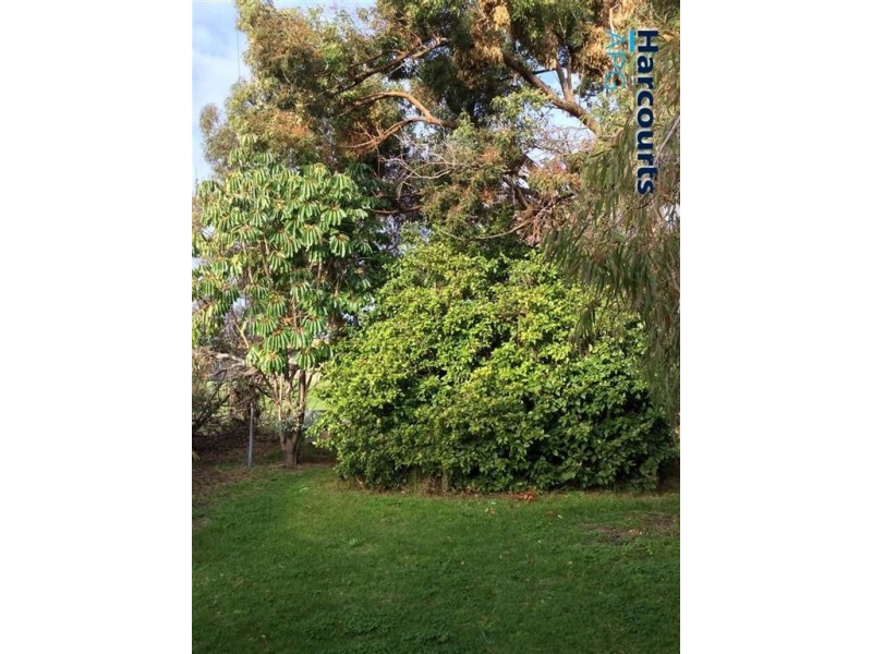 17 Albert Road, East Bunbury WA 6230