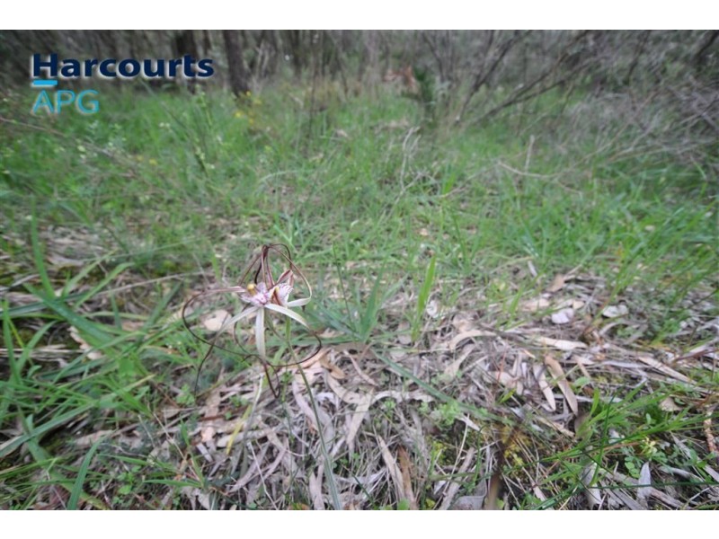 16 Halyard Parade, Leschenault WA 6233